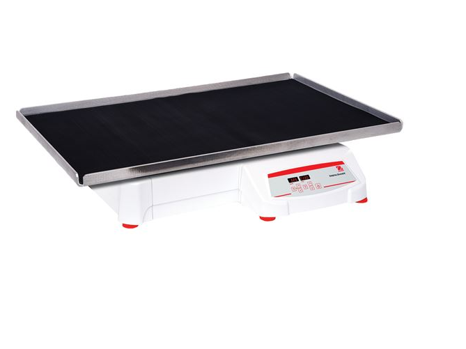 美國奧豪斯，OHAUS，脫色搖床，回旋振蕩器，圓周振蕩器，大負(fù)載圓周式搖床，SHHD6825DG