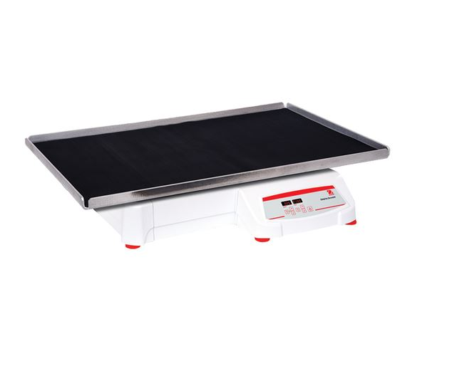 美國奧豪斯，OHAUS，脫色搖床，回旋振蕩器，圓周振蕩器，大負(fù)載圓周式搖床，SHHD6850DG